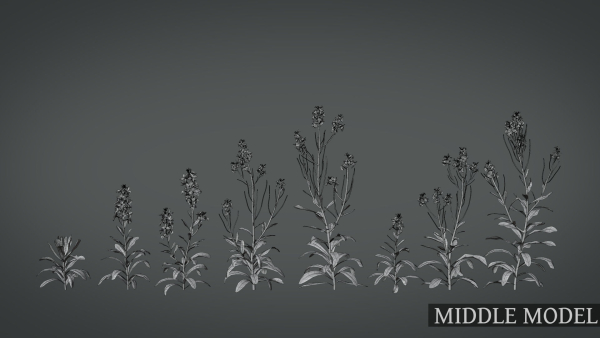Violet Flower VFX Grace