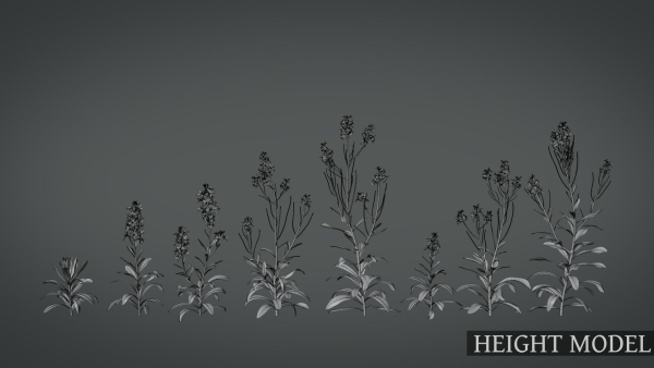 Violet Flower VFX Grace
