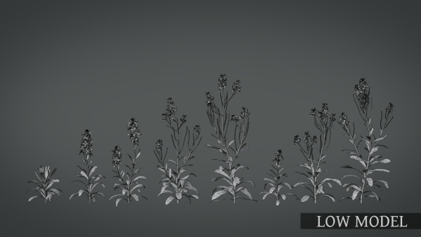 Violet Flower VFX Grace