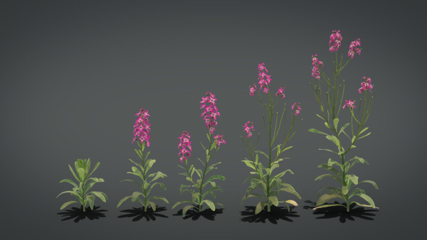 Violet Flower VFX Grace