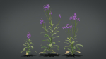 Violet Flower VFX Grace