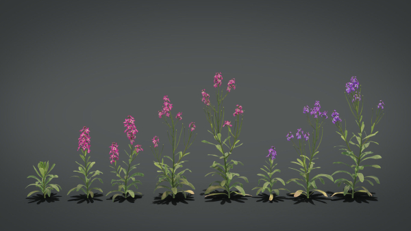 Violet Flower VFX Grace