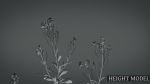 Violet Flower VFX Grace