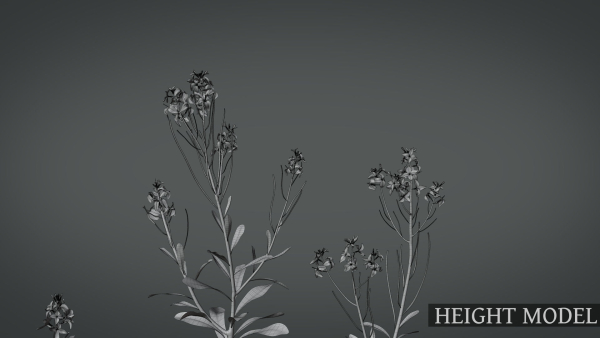 Violet Flower VFX Grace