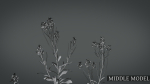 Violet Flower VFX Grace