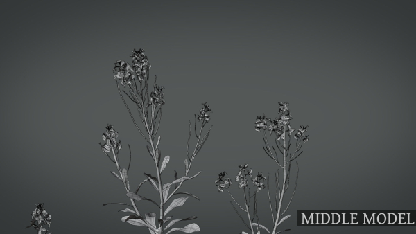 Violet Flower VFX Grace