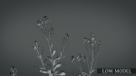 Violet Flower VFX Grace