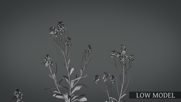 Violet Flower VFX Grace