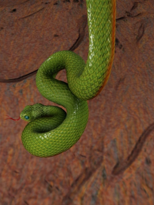 viper-snake-3d-model-max-obj-fbx-ma-ztl