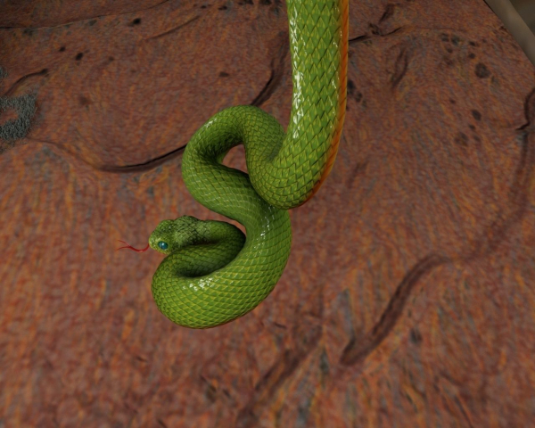 Viper Snake