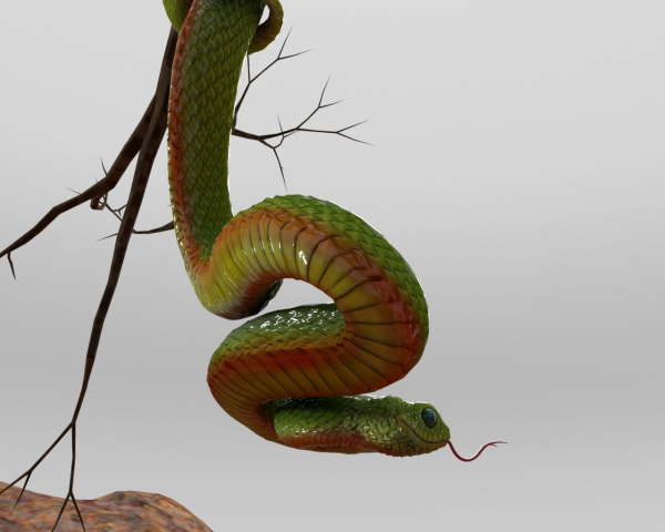 Viper Snake