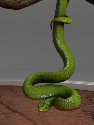 Viper Snake