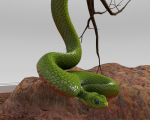 Viper Snake