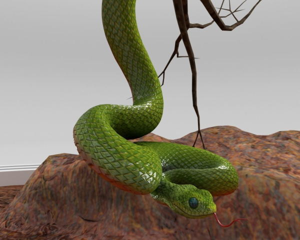 Viper Snake