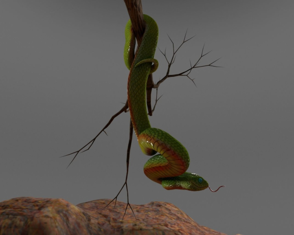 Viper Snake