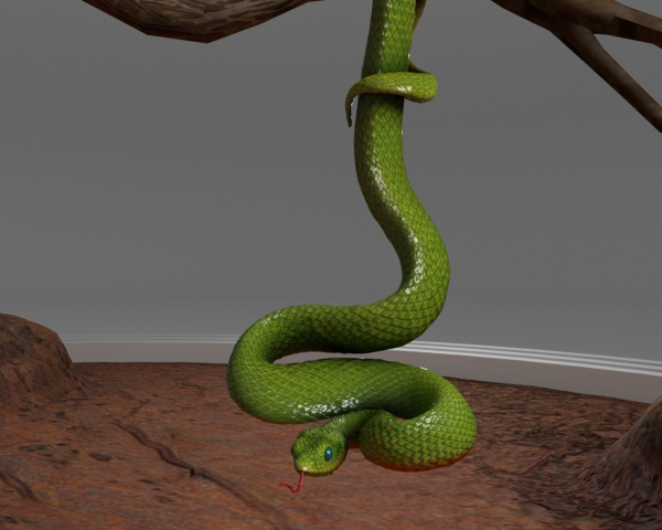 Viper Snake