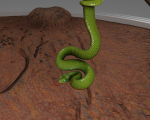 Viper Snake