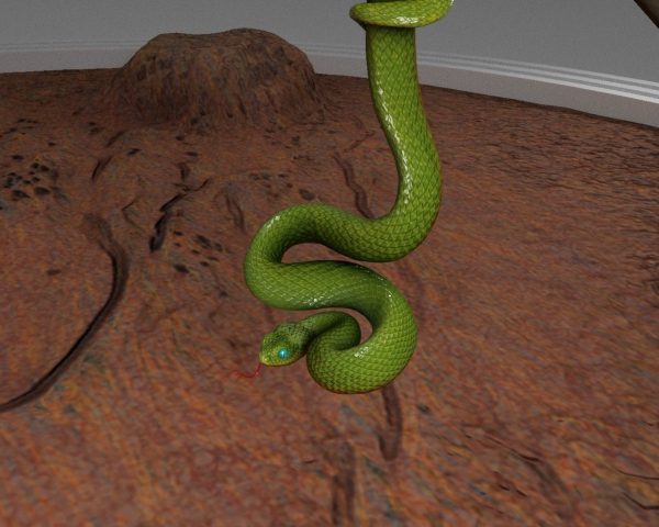 Viper Snake