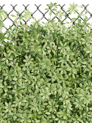 virginia-creeper-on-fence-vol-182-3d-model-ee636dbbc4