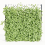 Virginia creeper on fence vol 182-Blender