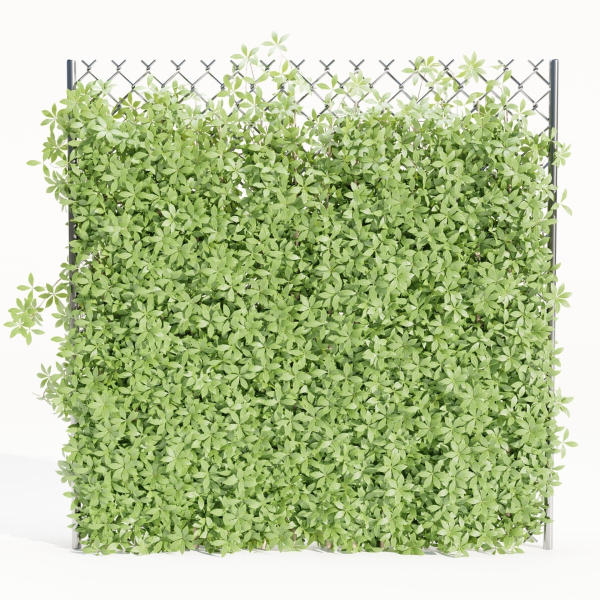 Virginia creeper on fence vol 182-Blender