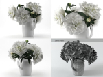 White Peonies
