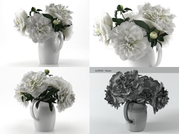 White Peonies
