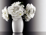 White Peonies
