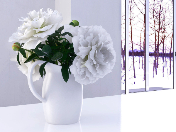 White Peonies