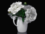 White Peonies