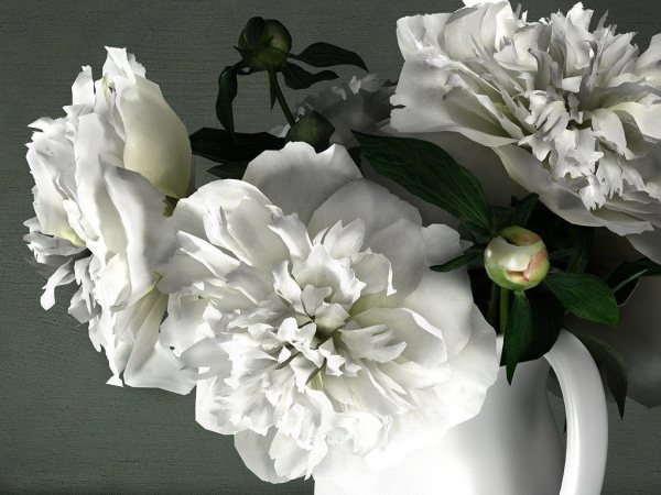 White Peonies