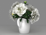 White Peonies