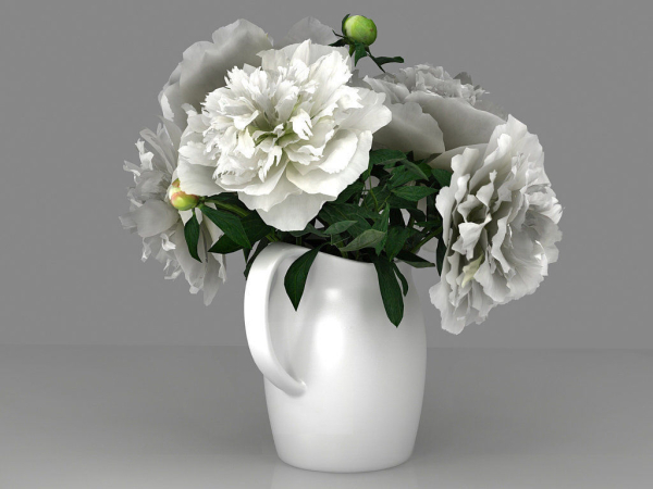 White Peonies