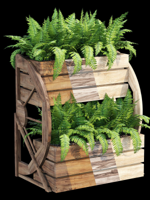 Wagon wooden planter with ferns in it
