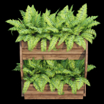 Wagon wooden planter with ferns in it