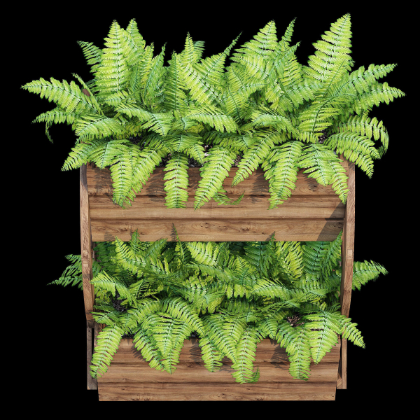 Wagon wooden planter with ferns in it
