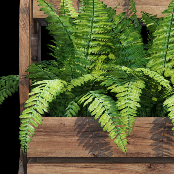 Wagon wooden planter with ferns in it