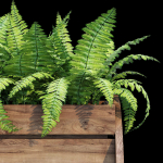 Wagon wooden planter with ferns in it