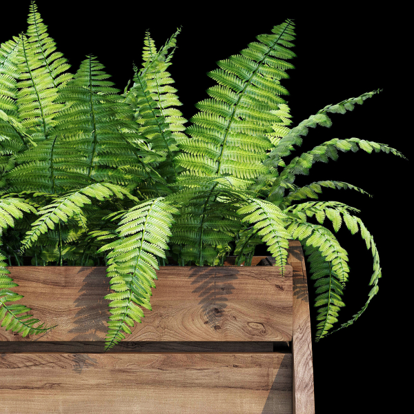 Wagon wooden planter with ferns in it