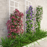 Wall flowers