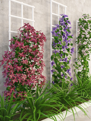 wall-flowers-3d-model-low-poly-rigged-max-obj-fbx-stl