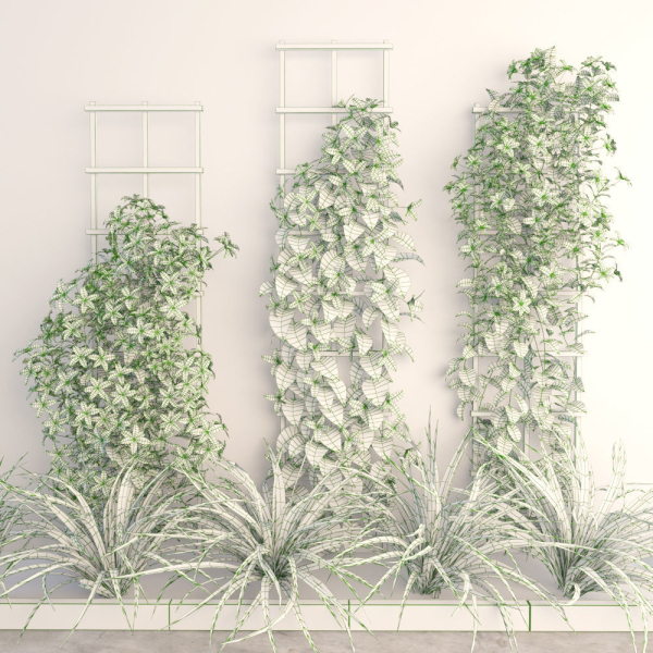 Wall flowers