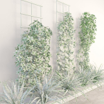 Wall flowers
