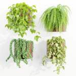 Wall hanging plants collection vol 206-Blender