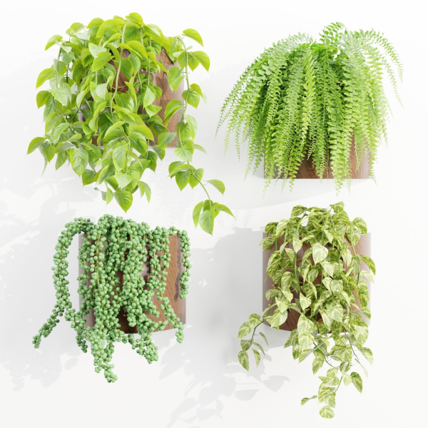 Wall hanging plants collection vol 206-Blender