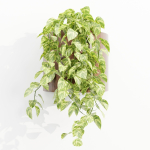 Wall hanging plants collection vol 206-Blender