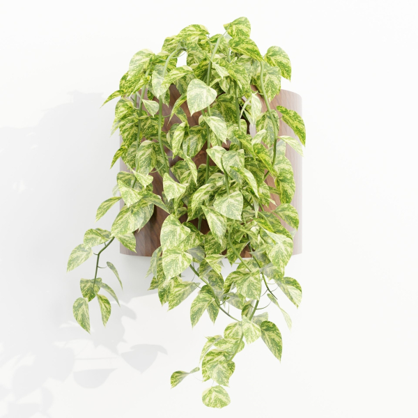 Wall hanging plants collection vol 206-Blender