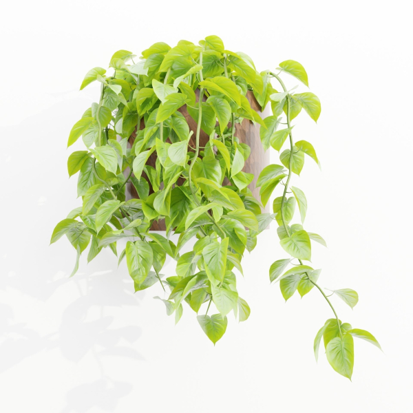 Wall hanging plants collection vol 206-Blender