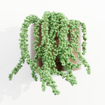 Wall hanging plants collection vol 206-Blender