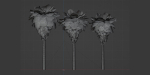 washingtonia filifera palm collection vol 55-Blender